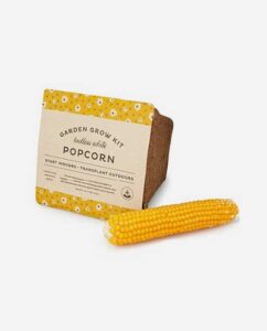 Cinema Popcorn - Red Shield Pictures